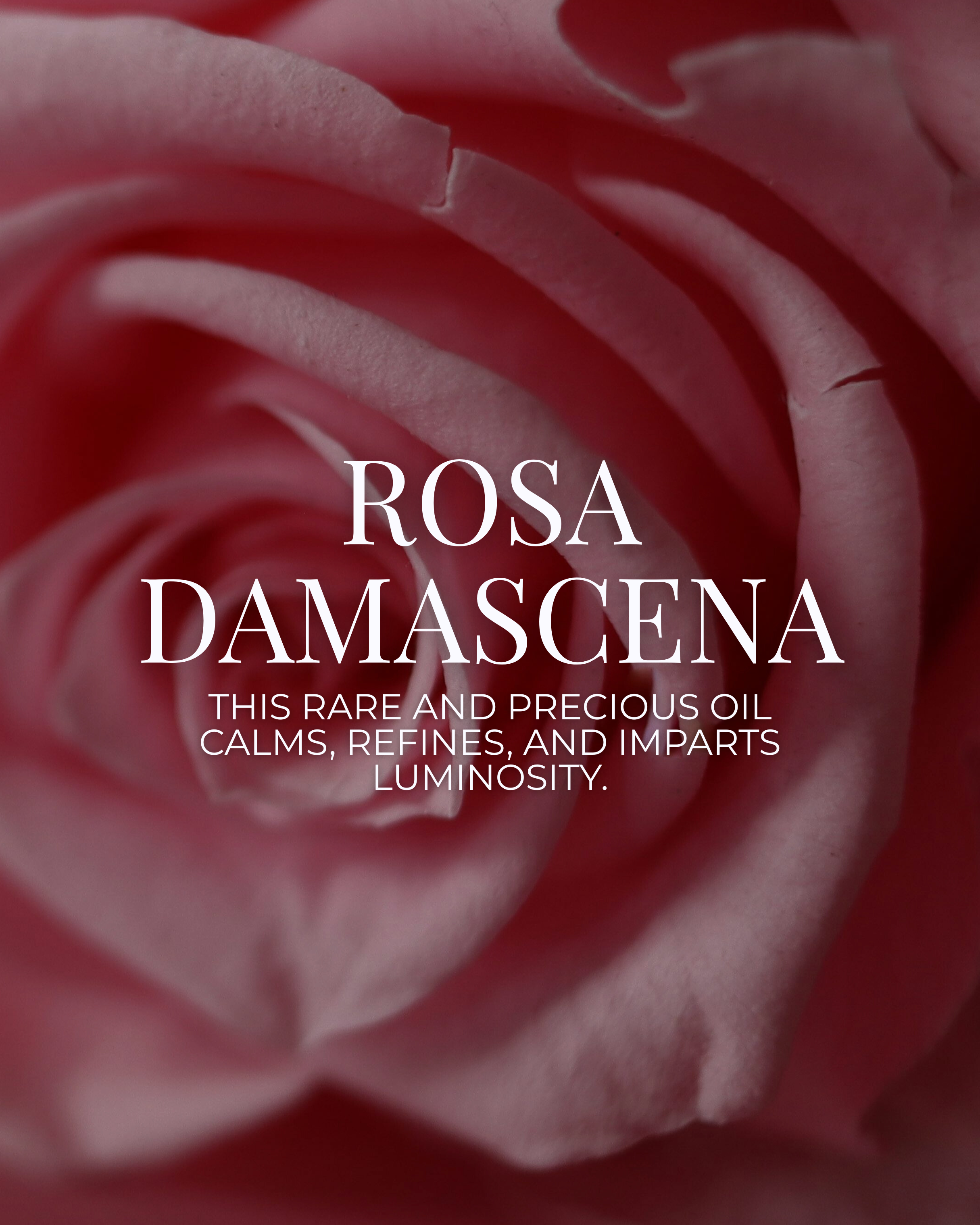 RESTORATION ESSENTIAL OIL